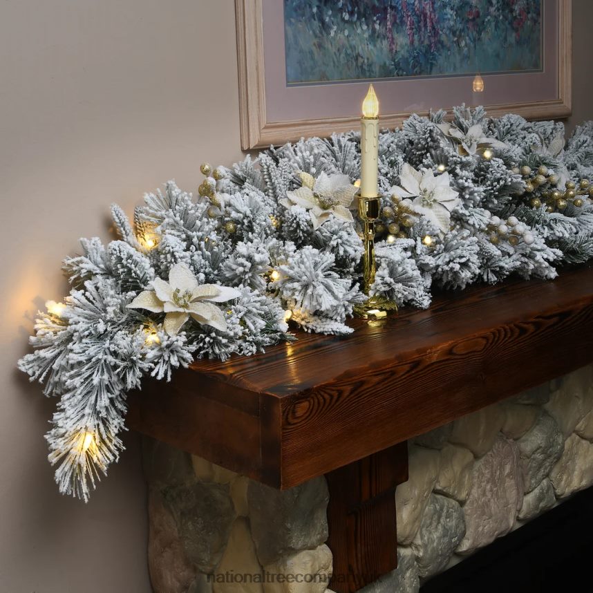 Greenery | National Tree Company 6 ft Frosted Colonial Fir Swag with Battery Operated LED Lights F2L4F504